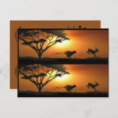 CheetahとGazelleのブックマーカー ポストカード (正面/裏面)