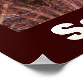 Cheetah写真救私たちの野生動物のポスター ポスター (角)