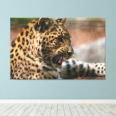 Cheetah キャンバスプリント (インサイチュ (ウッドフロア))