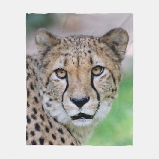 Cheetah 009 フリースブランケット (正面)