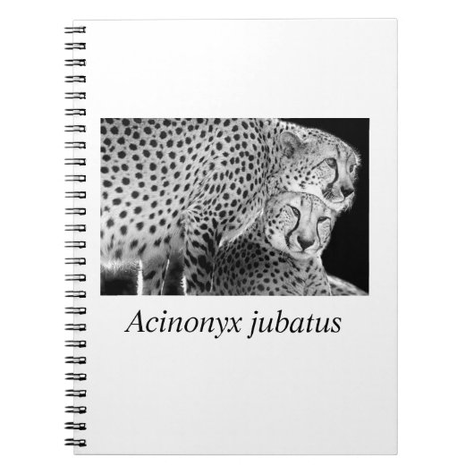 Cheetah#1 ノートブック (正面)