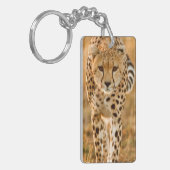 Cheetah (Acinonyx Jubatus)ポートレート、Maasai キーホルダー (正面左)
