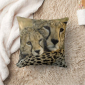Cheetah, Acinonyx jubatus,マサイ2の子犬 クッション (ブランケット)