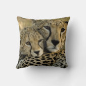 Cheetah, Acinonyx jubatus,マサイ2の子犬 クッション (裏面)