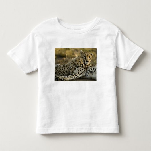 Cheetah, Acinonyx jubatus,マサイ2の子犬 トドラーTシャツ (正面)