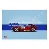 Cheetah at Riverside ポスター (正面)