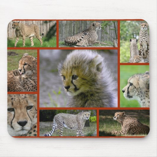 Cheetah-Collage 001ポスター マウスパッド (正面)