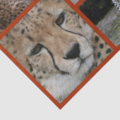 Cheetah-Collage 001ポスター 薄葉紙 (詳細)