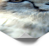 cheetah-cub10x10 ポスター (角)