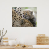 Cheetah Cub with Mom ポスター (キッチン)