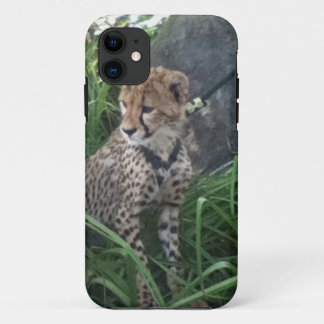 Cheetah iPhoneケース iPhone 11 ケース