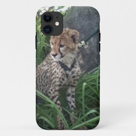 Cheetah iPhoneケース Case-Mate iPhoneケース (裏面)