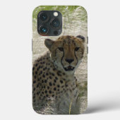 Cheetah iPhone / iPadケース Case-Mate iPhoneケース (裏面)