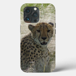 Cheetah iPhone / iPadケース iPhone 13 Proケース