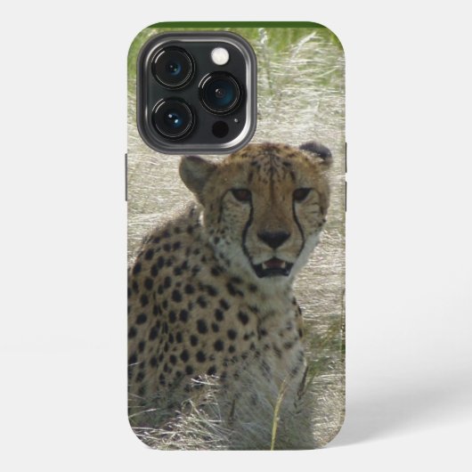 Cheetah iPhone / iPadケース iPhoneケース (裏面)