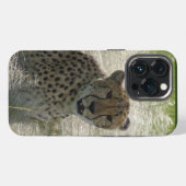 Cheetah iPhone / iPadケース iPhoneケース (裏面横)