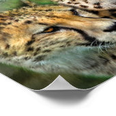 Cheetah Moods Artポスター/プリント ポスター (角)