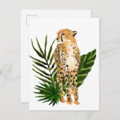 Cheetah Outlook ポストカード (正面/裏面)