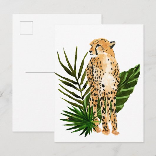 Cheetah Outlook ポストカード (正面/裏面)