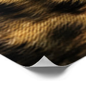 Cheetah Sunriser ポスター (角)