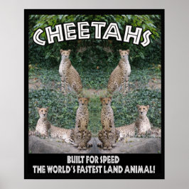 CHEETAHS – スピードに合わせて構築 ポスター