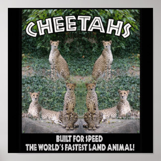 CHEETAHS – スピードに合わせて構築 ポスター