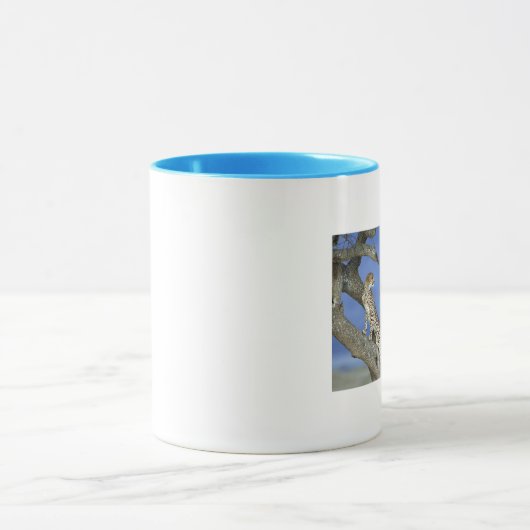 Cheetahs マグカップ (中央)