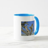 Cheetahs マグカップ (正面右)