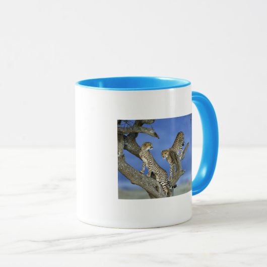 Cheetahs マグカップ (正面右)