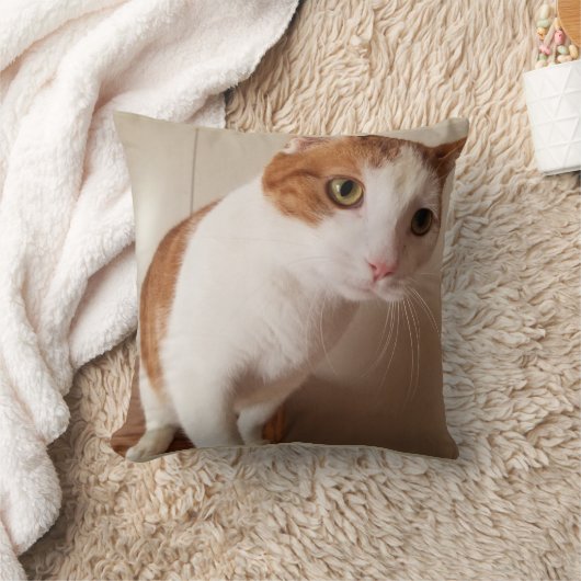 Cheetoの枕 クッション (ブランケット)