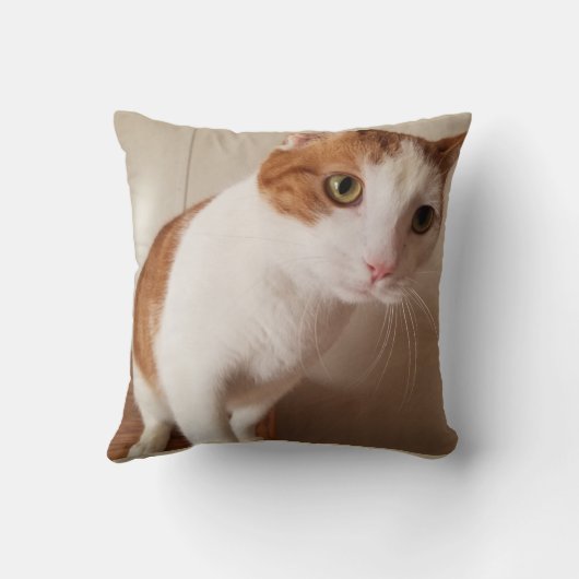 Cheetoの枕 クッション (裏面)