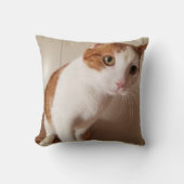 Cheetoの枕 クッション (正面)