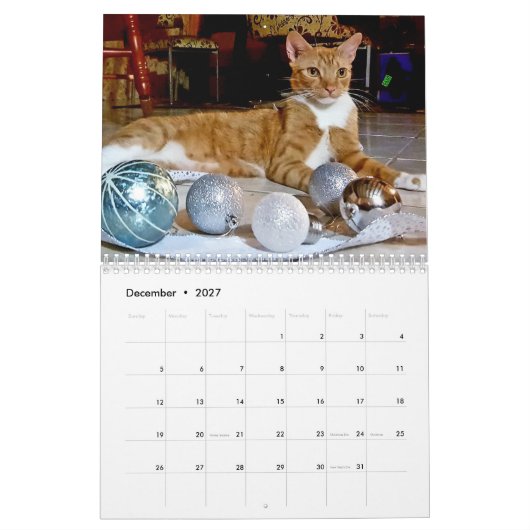 Cheeto Dacutecat 2020カレンダー カレンダー (12月 2027)