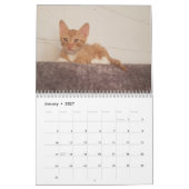 Cheeto Dacutecat 2020カレンダー カレンダー (1月 2027)