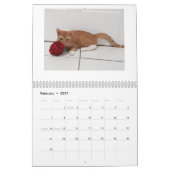 Cheeto Dacutecat 2020カレンダー カレンダー (2月 2027)