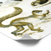 Cheiroptera, Insectivora ポスター (角)