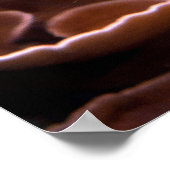 Chelmon rostratus ポスター (角)