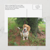 Chelsea ポストカード (正面/裏面)