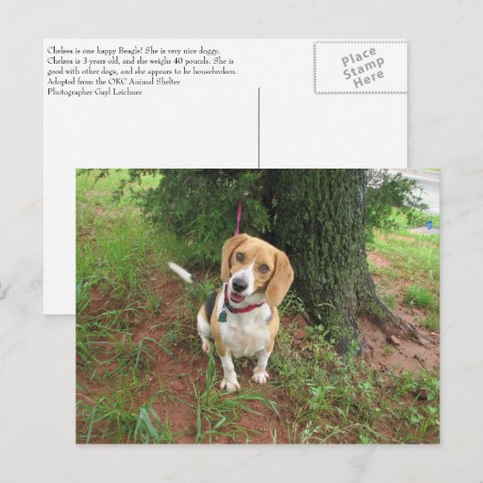 Chelsea ポストカード (正面/裏面)