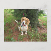 Chelsea ポストカード (正面)