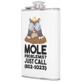 Chemistry - Mole Problems  フラスク (左)