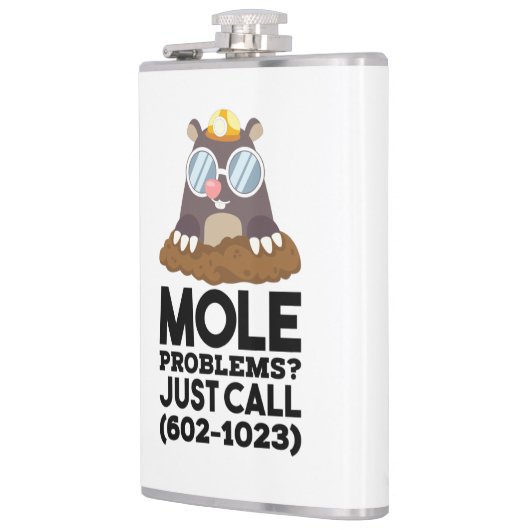 Chemistry - Mole Problems  フラスク (左)