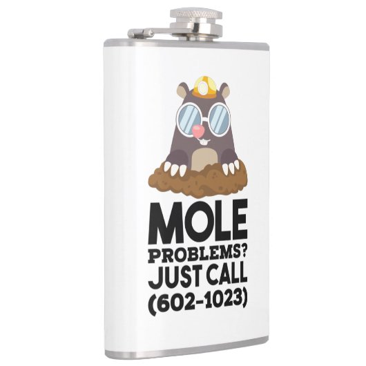 Chemistry - Mole Problems  フラスク (右)