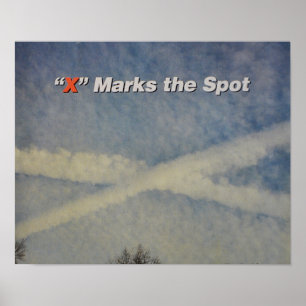 Chemtrailポスター ポスター