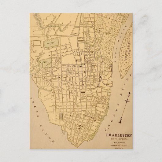 Cherleston SC Vintage Mapt Postcard ポストカード (正面)