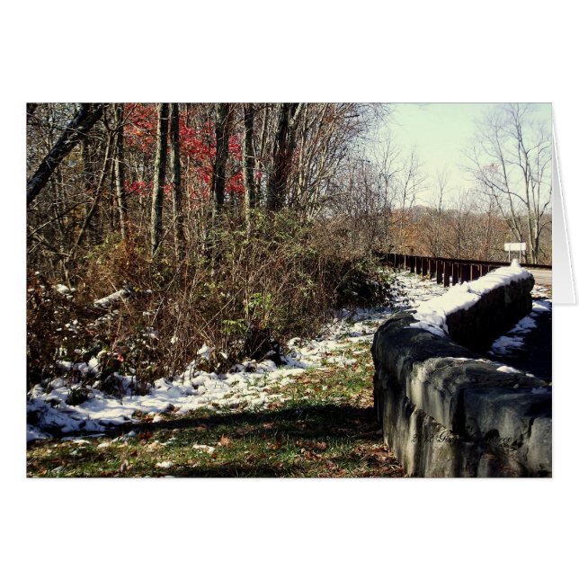 Cherohalaの降雪 (正面横)