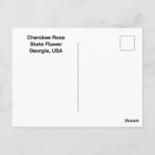 Cherokee Rose State flower of Georgia ポストカード (裏面)