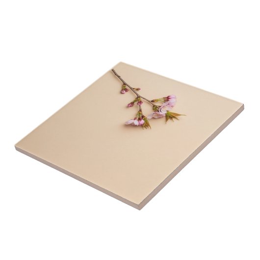 Cherry Blossom and Daisy Background タイル (側面)