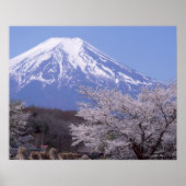 Cherry Blossom and Mt. Fuji ポスター (正面)
