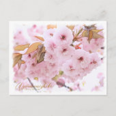 Cherry Blossom "Azuma-nishiki" ポストカード (正面)